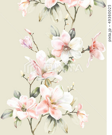 透明水彩 水彩画 花 49360025