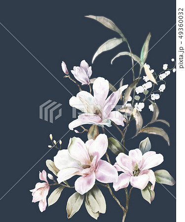 透明水彩 水彩画 花 49360032