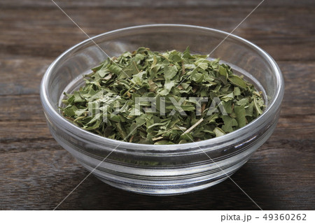 《ハーブ》　レモンバーベナ 49360262