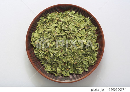 《ハーブ》　レモンバーベナ 49360274