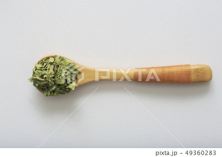 《ハーブ》　レモンバーベナ 49360283