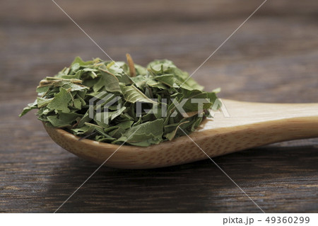 《ハーブ》　レモンバーベナ 49360299