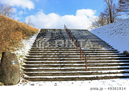 冬の鳥谷ヶ崎公園 冬の鳥谷ヶ崎公園 49361914