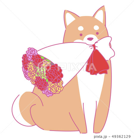 母の日の柴犬のイラスト素材