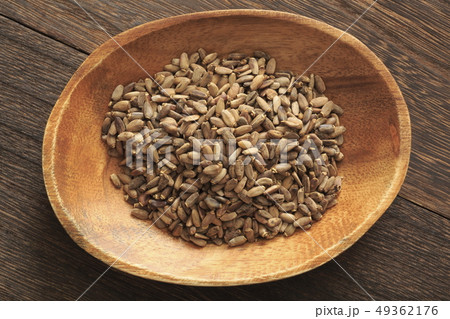 《ハーブ》　ミルクシスル 49362176