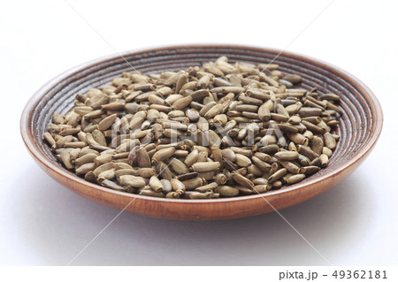 《ハーブ》 ミルクシスル 《ハーブ》 ミルクシスル 49362181