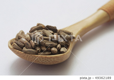 《ハーブ》　ミルクシスル 49362189