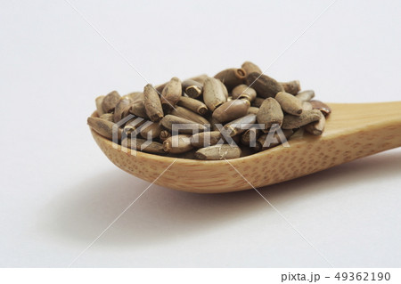 《ハーブ》 ミルクシスル 《ハーブ》 ミルクシスル 49362190