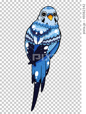 Bird 49362342