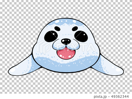 Baby seals Baby seals 49362344