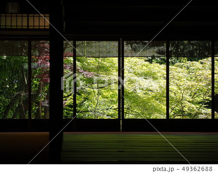 新緑輝く南禅寺塔頭天授庵 49362688