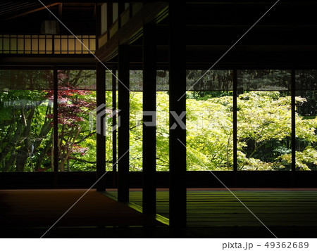 新緑輝く南禅寺塔頭天授庵 49362689