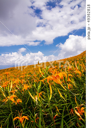 台湾 山脈 山岳 49362818