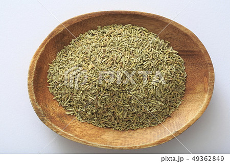 《ハーブ》　ローズマリー 49362849