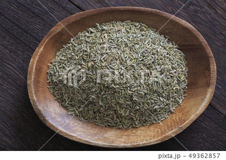 《ハーブ》　ローズマリー 49362857