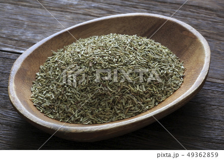 《ハーブ》　ローズマリー 49362859