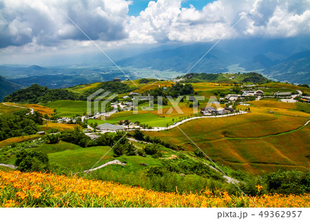 台湾 花蓮 池上 49362957