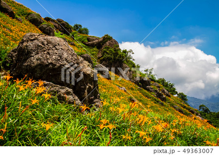 台湾 花蓮 池上 49363007