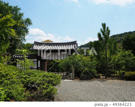 新緑輝く京都山科勧修寺 49364223