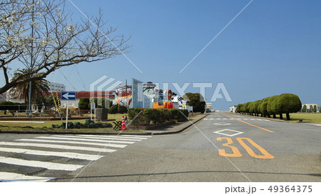 海上自衛隊 館山航空基地 海上自衛隊 館山航空基地 49364375