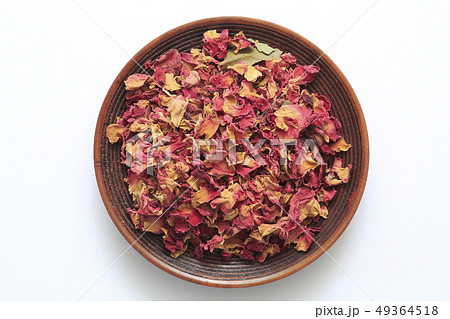 《ハーブ》 ローズレッド 《ハーブ》 ローズレッド 49364518