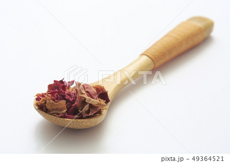 《ハーブ》　ローズレッド 49364521