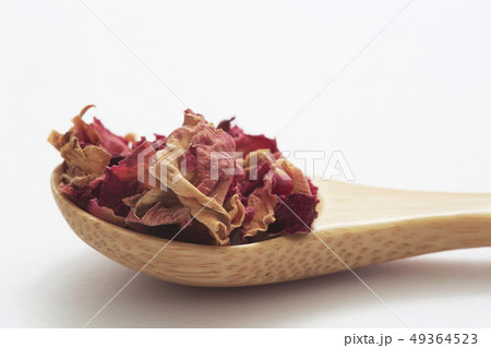 《ハーブ》　ローズレッド 49364523