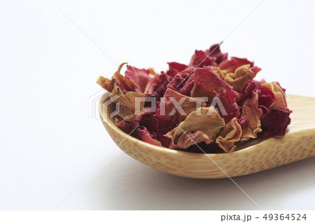 《ハーブ》　ローズレッド 49364524