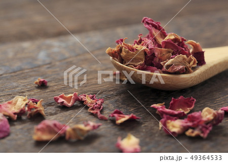 《ハーブ》　ローズレッド 49364533