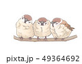ふくらすずめ 49364692