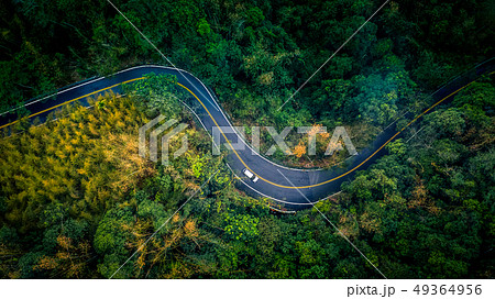 Car in rural road in deep rain forest, Aerial view Car in rural road in deep rain forest, Aerial view 49364956