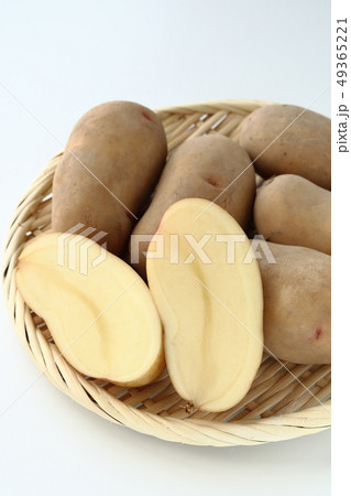 はるかの切り口 49365221