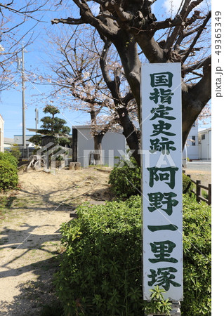 阿野一里塚 49365349