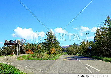 知床斜里　天に続く道　展望台 49366484