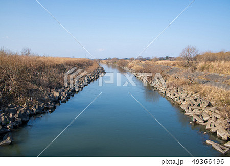 高尾橋　北本市　荒川上流方面 49366496