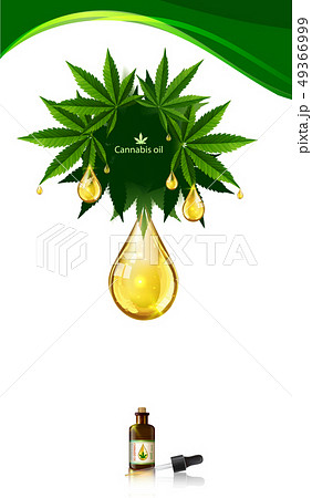 Marijuana plant and cannabis oil drop vector. Marijuana plant and cannabis oil drop vector. 49366999
