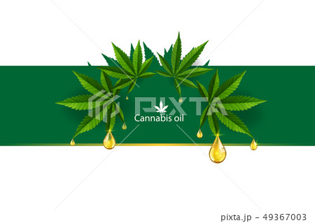 Marijuana Plant And Cannabis Oil Drop Vector のイラスト素材