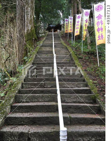 金持神社 金持神社 49367313