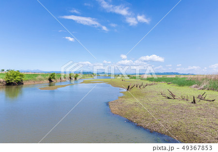 春渡良瀬遊水地　第１調節池　爽やかな春 49367853