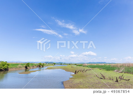 春渡良瀬遊水地　第１調節池　爽やかな春 49367854