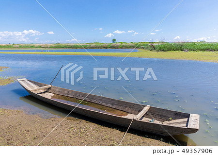 春渡良瀬遊水地　第１調節池 49367906