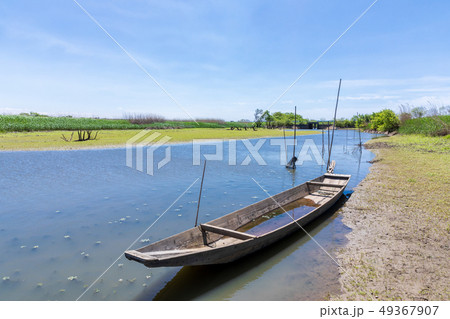 春渡良瀬遊水地　第１調節池 49367907