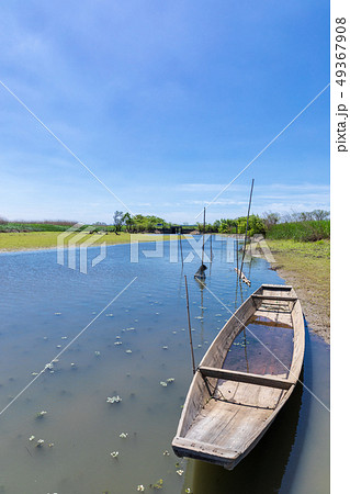 春渡良瀬遊水地　第１調節池 49367908