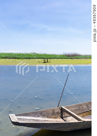 春渡良瀬遊水地　第１調節池 49367909