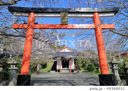 春の兼喜神社 49368032
