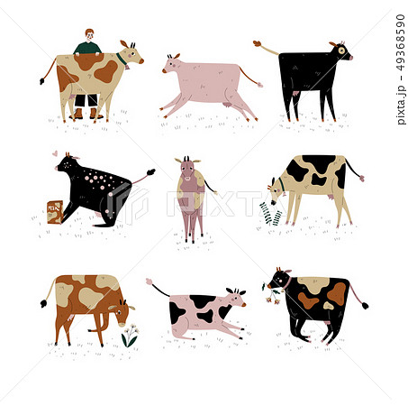 Cows of Different Breeds Set, Cattle Breeding, Farming, Dairy Cattle, Vector Illustration 49368590