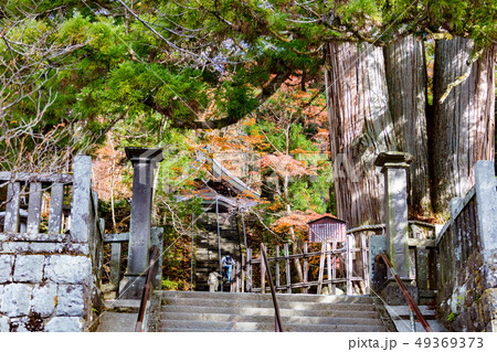戸隠神社　中社 49369373