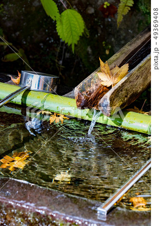 戸隠神社　奥社 49369408
