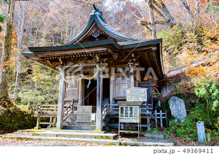 戸隠神社　九頭龍社 49369411