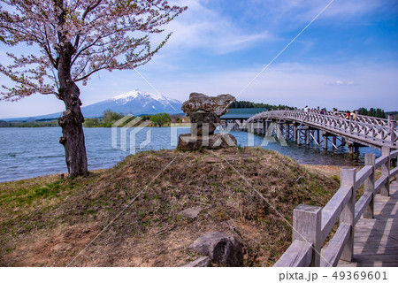 青森県 津軽 鶴の舞橋 日本一の木造三連太鼓橋 へら岬公園より 青森県 津軽 鶴の舞橋 日本一の木造三連太鼓橋 へら岬公園より 49369601